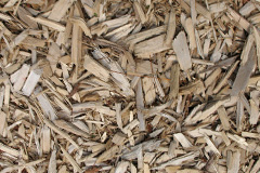 biomass boilers Rudry